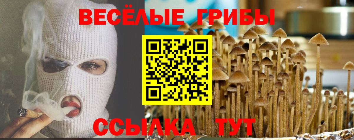 Бугульма  Псилоцибиновые грибы Psilocybe  Псилоцибиновые грибы Psilocybine cubensis  Вход с VPN 