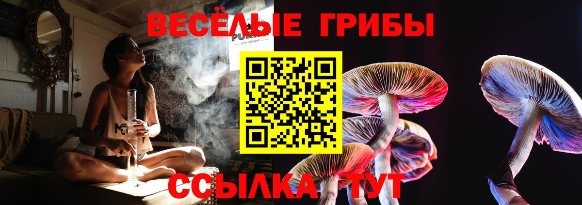Галлюциногенные грибы Magic Shrooms Бугульма
